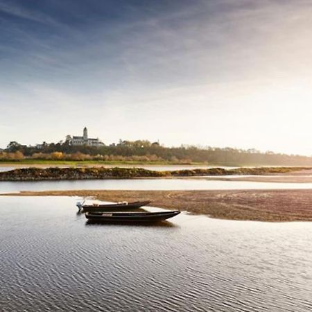 Appart' Cosy En Bord De Loire سوموور المظهر الخارجي الصورة