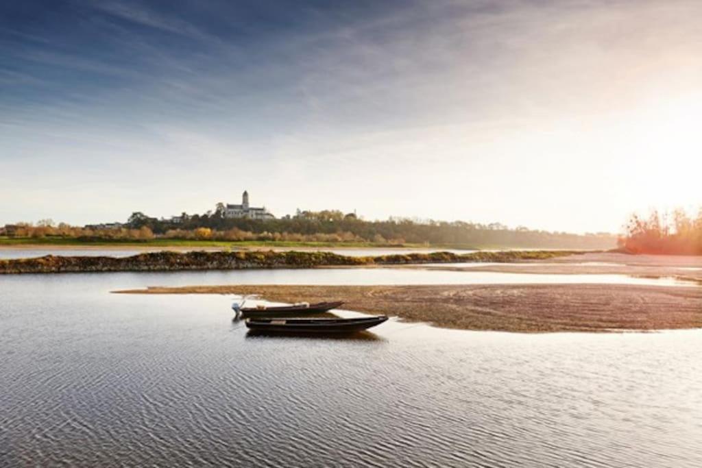 Appart' Cosy En Bord De Loire سوموور المظهر الخارجي الصورة
